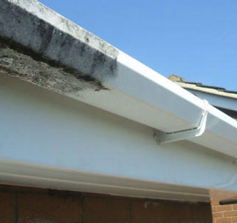 gutter, facia & soffit cleaning